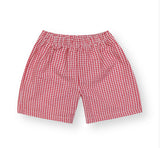 Gingham Shorts (5 Colors)